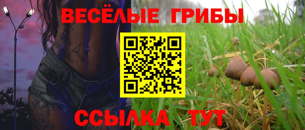 Псилоцибиновые грибы ЛСД Курчалой